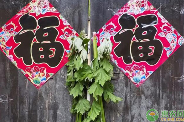 2026端午节是哪一天？有哪些习俗？